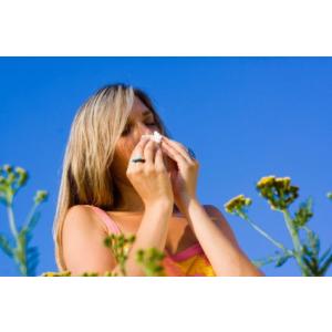 Hay fever Bundles